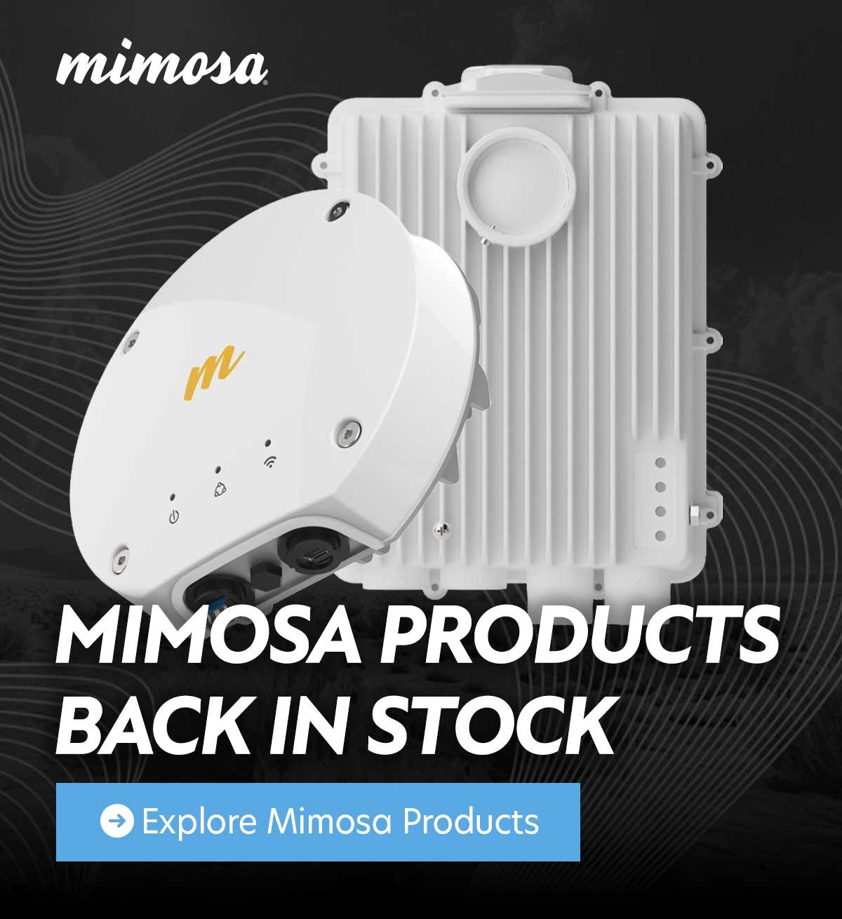MimosaRestock-1